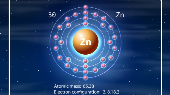 Fakta Menarik Tentang Manfaat Zinc bagi Tubuh