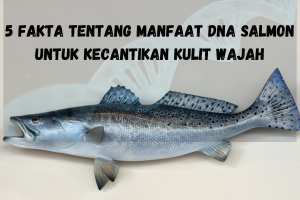 5 Fakta Tentang Manfaat DNA Salmon untuk Kecantikan Kulit Wajah