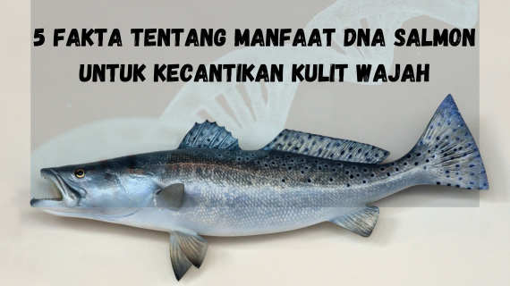 5 Fakta Tentang Manfaat DNA Salmon untuk Kecantikan Kulit Wajah