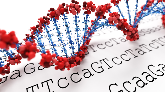 Keajaiban DNA Salmon untuk Merawat Flek dan Masalah Kulit