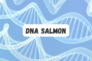5 Manfaat DNA Ikan Salmon untuk Kecantikan Kulit Wajah