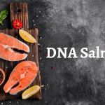 Meningkatkan Kesehatan Jantung dengan Asam Lemak Omega-3 yang Terdapat pada DNA Salmon