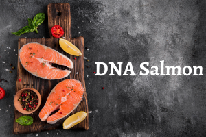 Meningkatkan Kesehatan Jantung dengan Asam Lemak Omega-3 yang Terdapat pada DNA Salmon