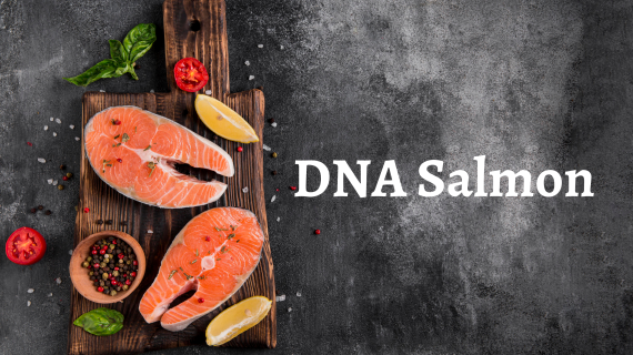 DNA Salmon: Metode Terbaru Perawatan Kulit yang Meningkatkan Elastisitas dan Mengurangi Kerutan