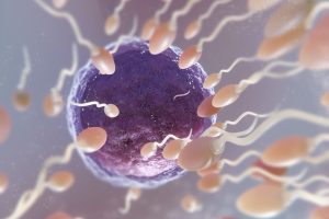 Studi Menunjukkan Suplemen Zinc Meningkatkan Kualitas Sperma pada Pria Infertil